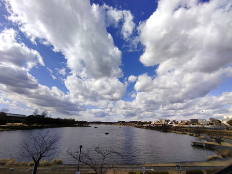 IMG_20250209_123849aa