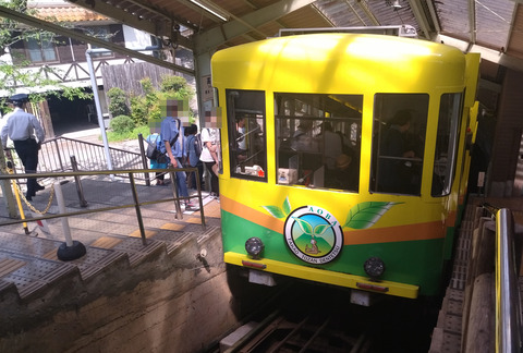 IMG_20250503_133245aa