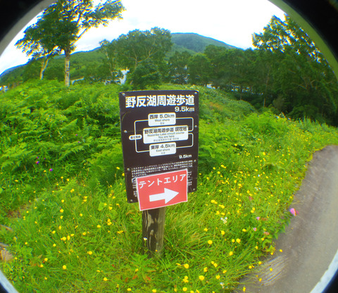IMGP3443aa
