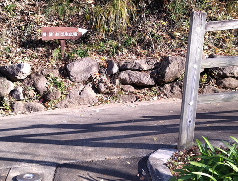 IMG_20250104_132619aa