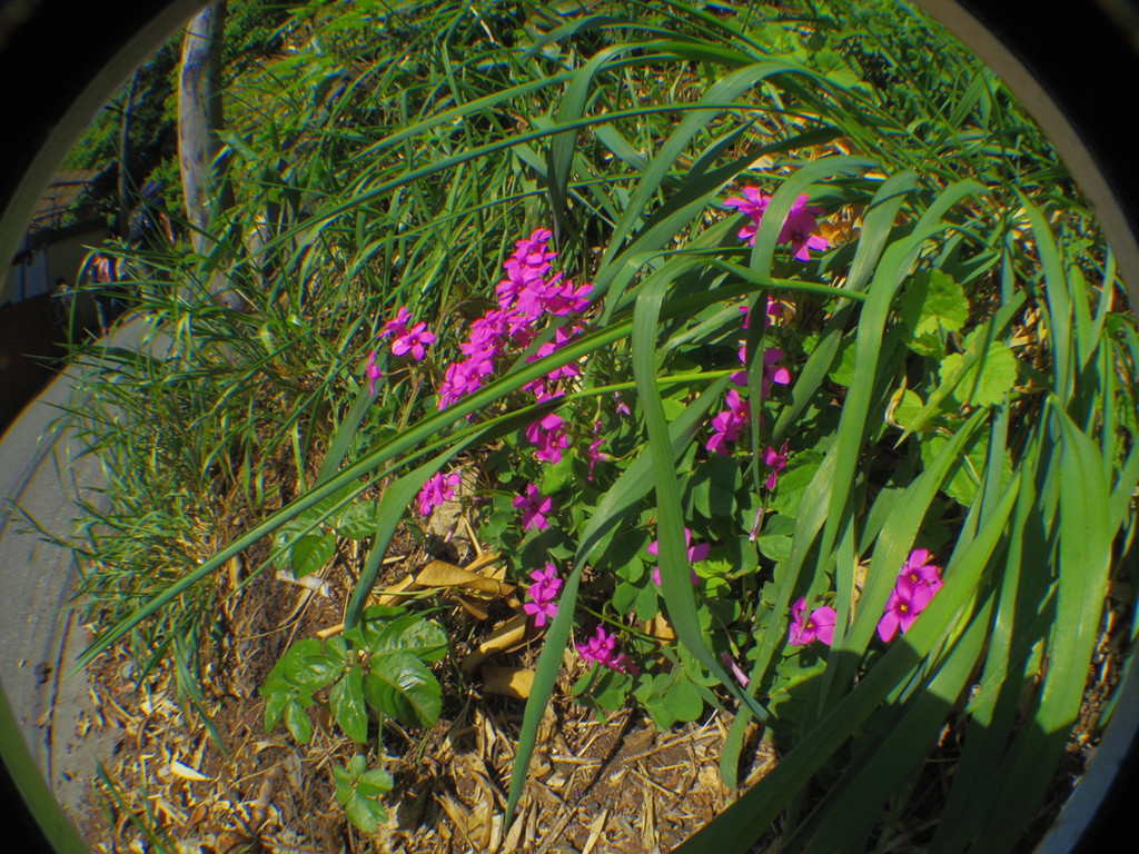 移動運用その１９８ 東京都八王子市景信山移動 ２０１８年４月２８日 Jh1eafのblog