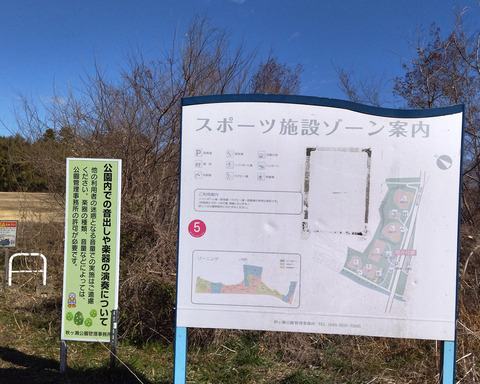 IMG_20250211_104106aa