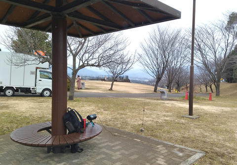 IMG_20250119_132033aa