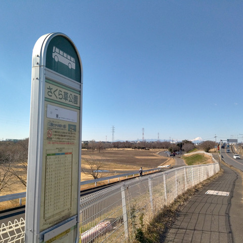 IMG_20250211_094757aa