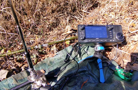 IMG_20240106_142414aa