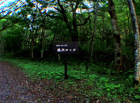 IMGP6949aa