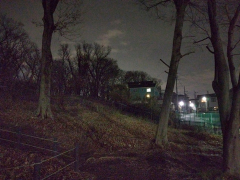 IMG_20250202_185155aa