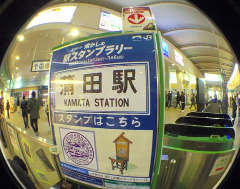 IMGP3899aa