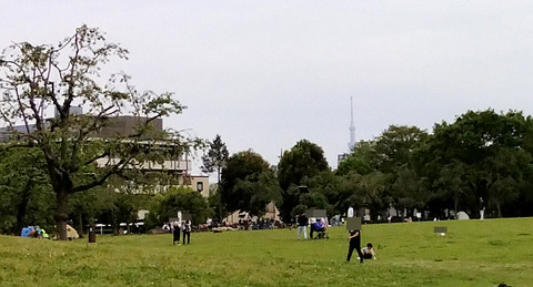 IMG_20240421_141650aa