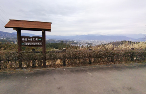 IMG_20250119_120415aa