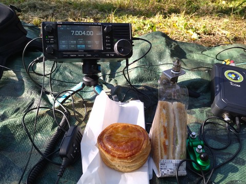 IMG_20241104_134936_1