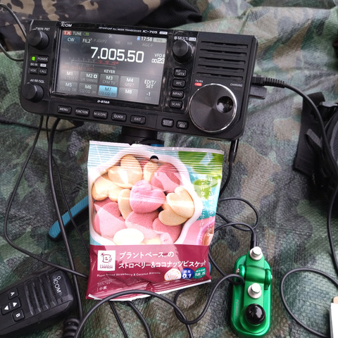 IMG_20240608_175817aa