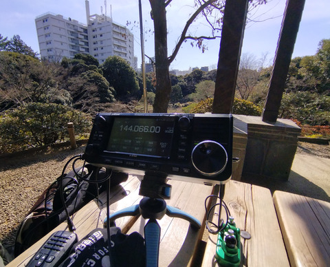 IMG_20250222_112019aa