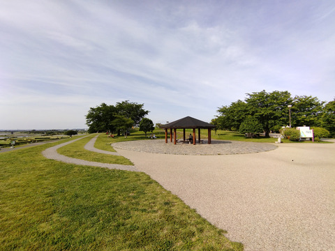 IMG_20240608_155812_1aa