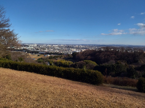 IMG_20250104_133534_1aa