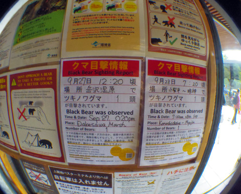 IMGP6903aa