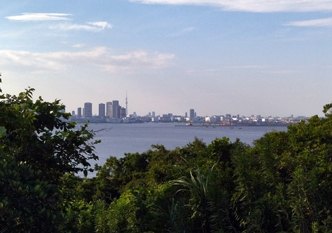 IMG_20250628_164736aa