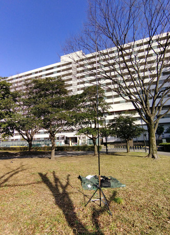 IMG_20250309_151027aa