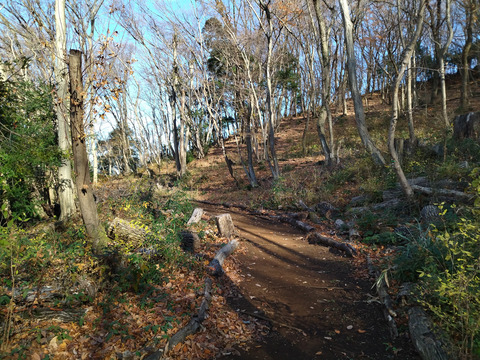 IMG_20250104_133127_1aa