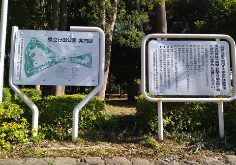 IMG_20241104_120918aa