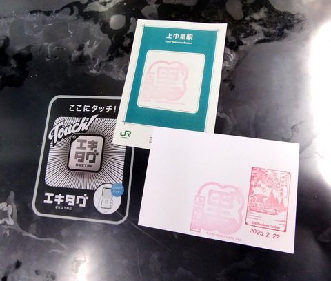 IMG_20250222_124917aa