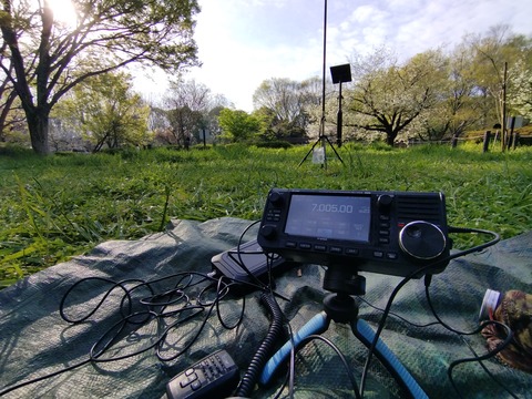 IMG_20250406_072113_1