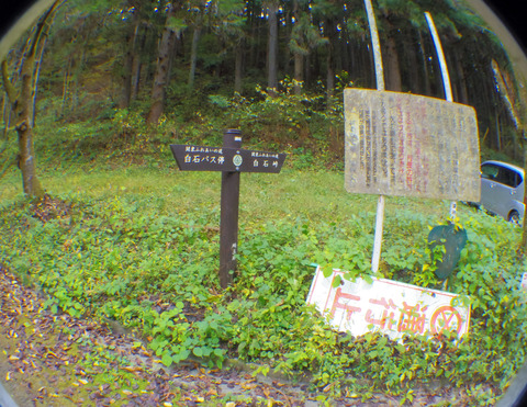 IMGP7311aa