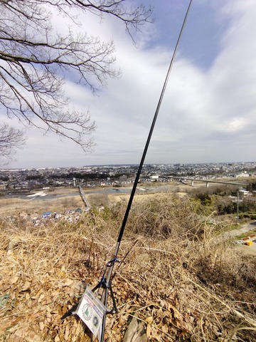 IMG_20240229_130624_1