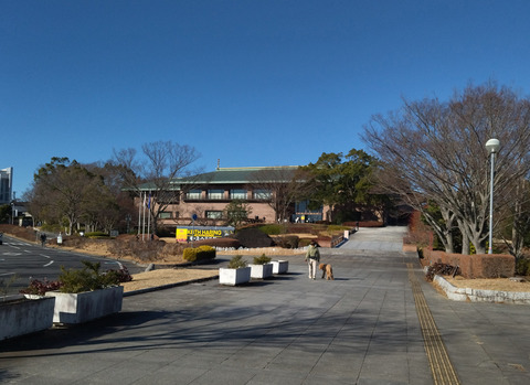 IMG_20250209_092533aa