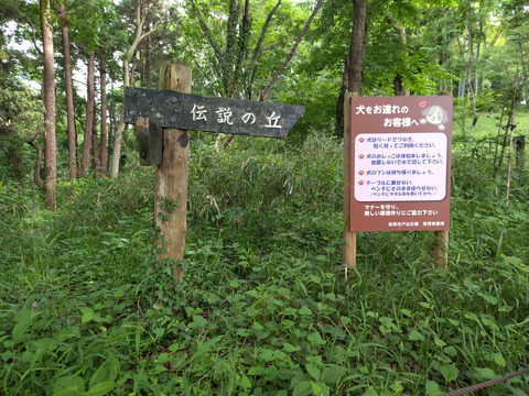 IMG_20240522_161822aa