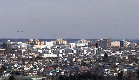 IMG_20240229_132537aa