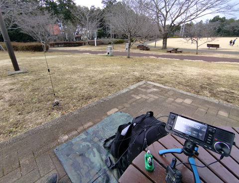 IMG_20250119_131306aa