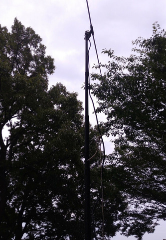 IMG_20200620_154135aa