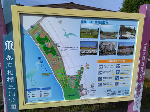 IMG_20240608_155540aa