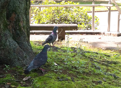 IMG_20250511_134953aa