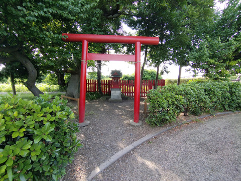 IMG_20240608_155636aa