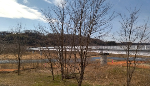 IMG_20240229_121805_1aa