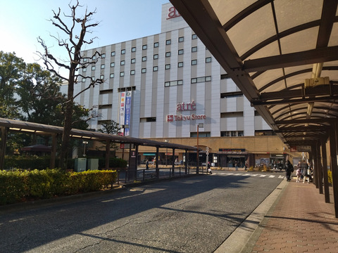 IMG_20250103_131648aa