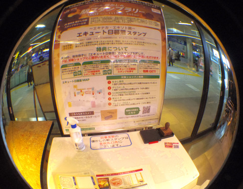 IMGP3920aa