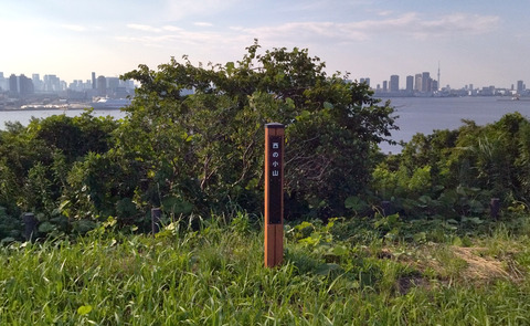 IMG_20250628_164725aa