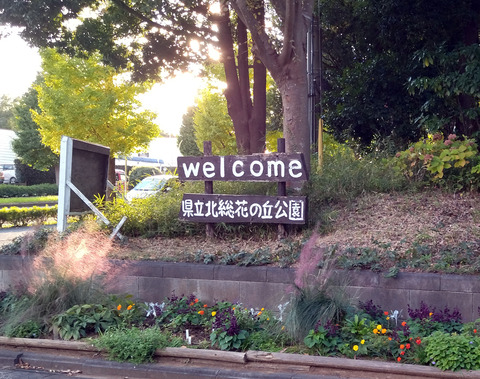 IMG_20241109_153502aa