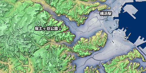 保土ヶ谷公園20241110