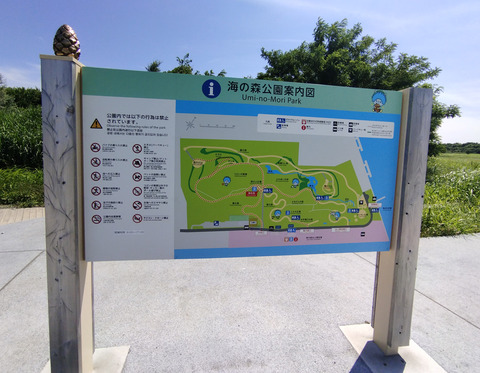 IMG_20250628_135640aa