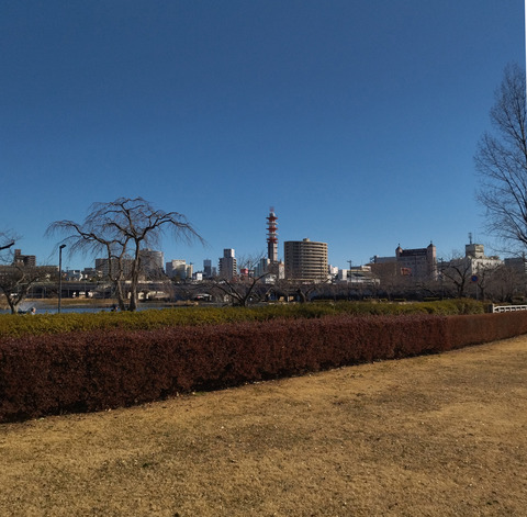 IMG_20250209_092821aa