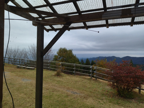 IMG_20231112_080828aa