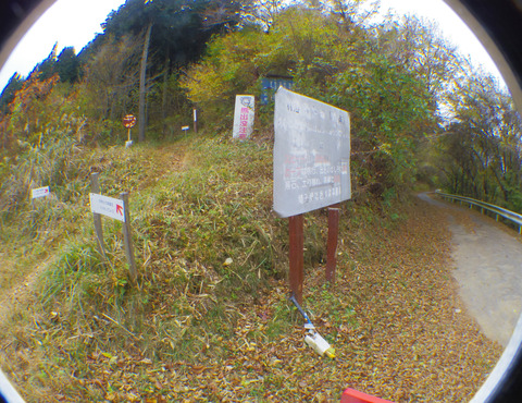 IMGP7304aa