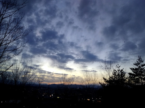 IMG_20210214_173305aa