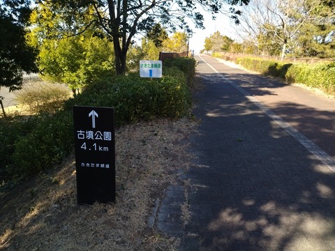 IMG_20250211_140159_1