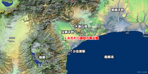 おだわら諏訪の原20250119