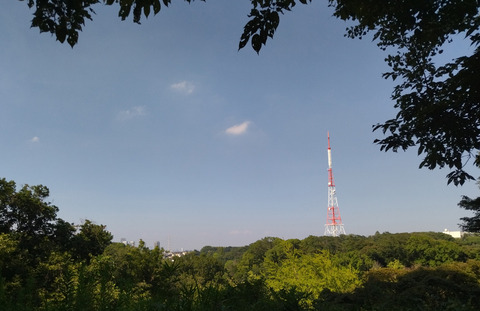 IMG_20240803_152413aa